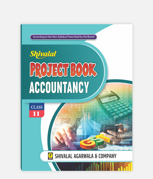 Accountancy Project Book Class 11