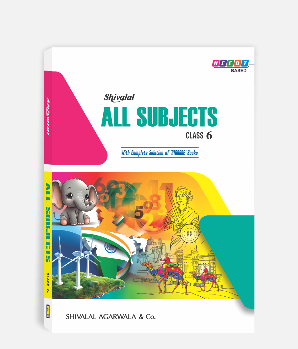 All Subjects Class 6