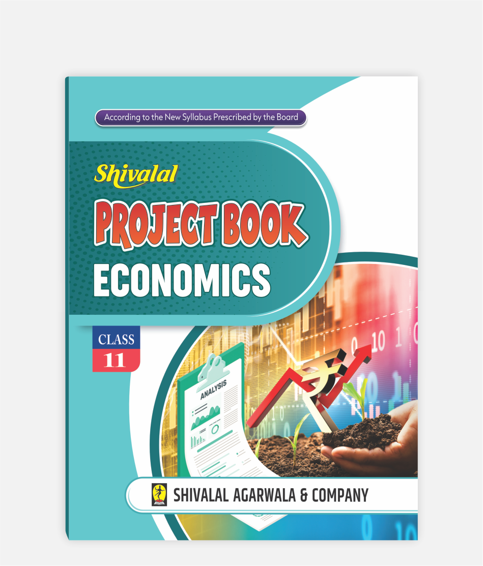 Economics Project Book Class 11