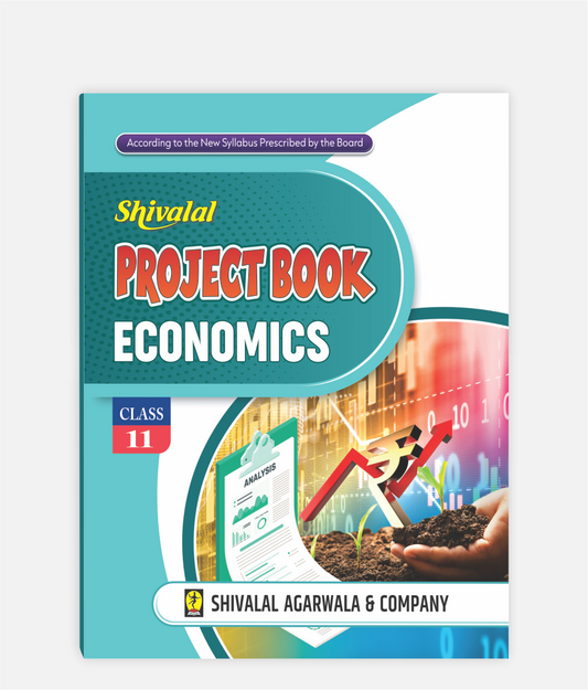 Economics Project Book Class 11