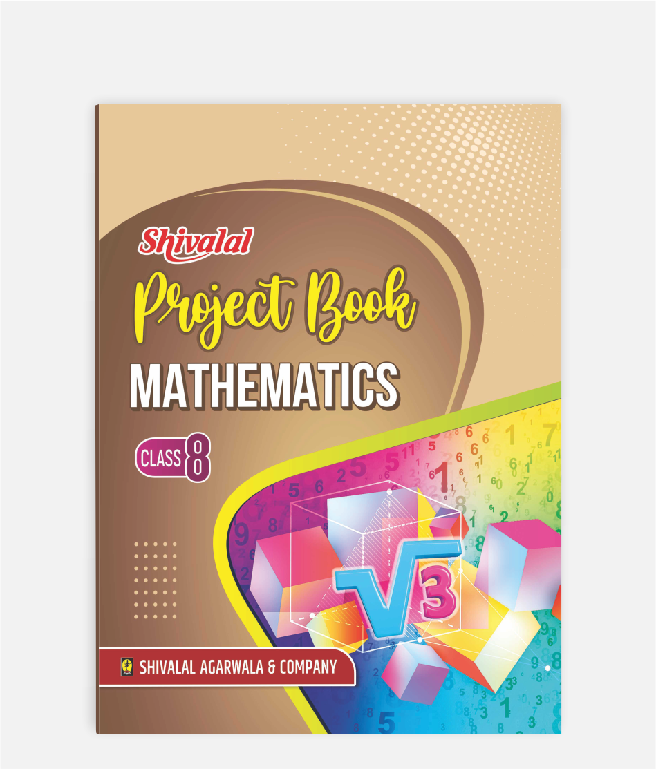 Mathematics Project Book Class 8
