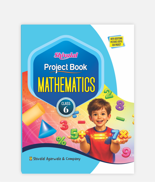 Mathematics Project Book Class 6