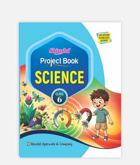 Science Project Book Class 6